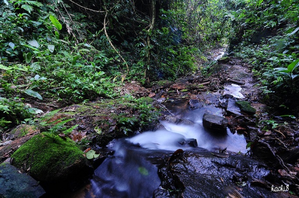 Những d&ograve;ng suối đẹp duy&ecirc;n d&aacute;ng ở T&acirc;y Bắc